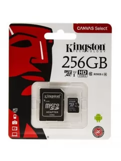 Kingston Micro 256GB