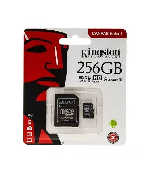 Kingston Micro 256GB